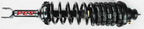 FCS 1336317R Suspension Strut and Coil Spring Assembly - Rear Right