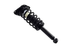 FCS 1336339 Suspension Strut and Coil Spring Assembly - Rear