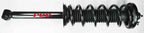 FCS 1336348 Suspension Strut and Coil Spring Assembly - Rear