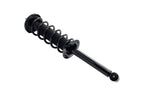 FCS 1336348 Suspension Strut and Coil Spring Assembly - Rear