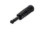 FCS 1345455 Suspension Strut and Coil Spring Assembly - Front
