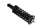 FCS 1345557 Suspension Strut and Coil Spring Assembly - Front