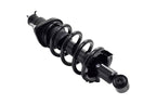 FCS 1345688L Suspension Strut and Coil Spring Assembly - Rear Left