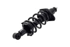 FCS 1345688R Suspension Strut and Coil Spring Assembly - Rear Right