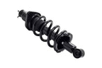 FCS 1345688R Suspension Strut and Coil Spring Assembly - Rear Right