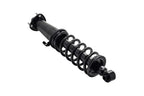 FCS 1345766 Suspension Strut and Coil Spring Assembly - Rear