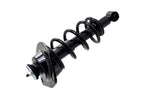 FCS 1345826R Suspension Strut and Coil Spring Assembly - Rear Right