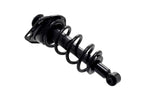 FCS 1345826R Suspension Strut and Coil Spring Assembly - Rear Right
