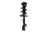 FCS 2333945R Suspension Strut and Coil Spring Assembly - Front Right