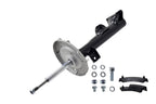 FCS 331517 Suspension Strut Assembly - Front
