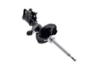 FCS 331631L Suspension Strut Assembly - Front Left