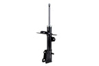 FCS 332319 Suspension Strut Assembly - Front