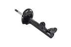 FCS 333049 Suspension Strut Assembly - Front