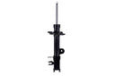 FCS 334309L Suspension Strut - Rear Left