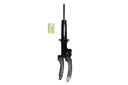 FCS 345677R Suspension Strut Assembly - Front Right