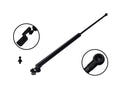 FCS 80015L Liftgate Lift Support - Left