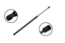 FCS 80052 Liftgate Lift Support
