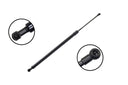 FCS 80055 Liftgate Lift Support