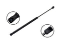 FCS 80058 Liftgate Lift Support