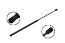 FCS 80060 Liftgate Lift Support