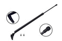 FCS 80119L Liftgate Lift Support - Rear Left