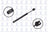 FCS 84032 Hood Lift Support - Front