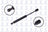 FCS 84033 Hood Lift Support - Front
