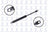 FCS 84034 Hood Lift Support