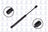 FCS 84063 Trunk Lid Lift Support - Rear