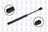 FCS 84075 Trunk Lid Lift Support - Rear
