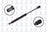 FCS 84095 Trunk Lid Lift Support - Rear