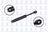 FCS 84100 Trunk Lid Lift Support - Rear