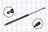 FCS 84202 Liftgate Lift Support