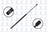 FCS 84205 Tailgate Lift Support