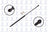 FCS 84220 Tailgate Lift Support
