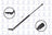 FCS 84221R Tailgate Lift Support - Right