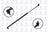 FCS 84290 Liftgate Lift Support