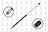 FCS 84316 Back Glass Lift Support