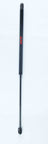 FCS 84325 Hatch Lift Support - Rear