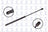 FCS 84358 Tailgate Lift Support