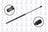 FCS 84368 Hood Lift Support