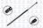 FCS 84396 Liftgate Lift Support