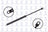 FCS 84400 Hatch Lift Support