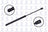 FCS 84403 Hatch Lift Support