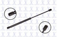 FCS 84423 Back Glass Lift Support