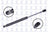 FCS 84453 Trunk Lid Lift Support