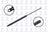 FCS 84458 Tailgate Lift Support