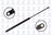FCS 84460 Hatch Lift Support