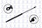 FCS 84461 Trunk Lid Lift Support