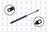 FCS 84470 Hood Lift Support
